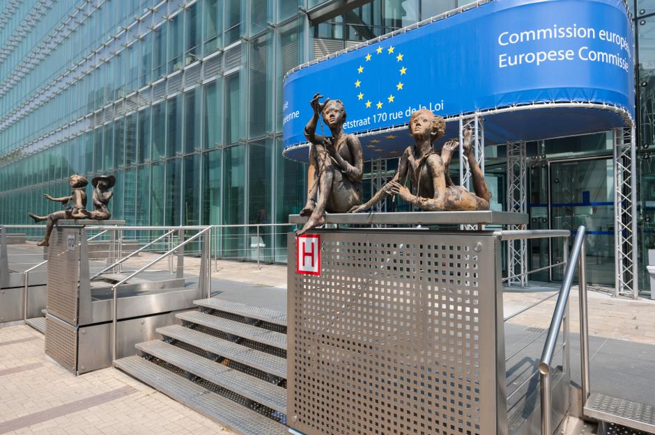 The European Commission development structures